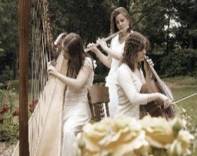 The Soenen Sisters. Musical trio of harp, flute and cello - Click here to visit our website!